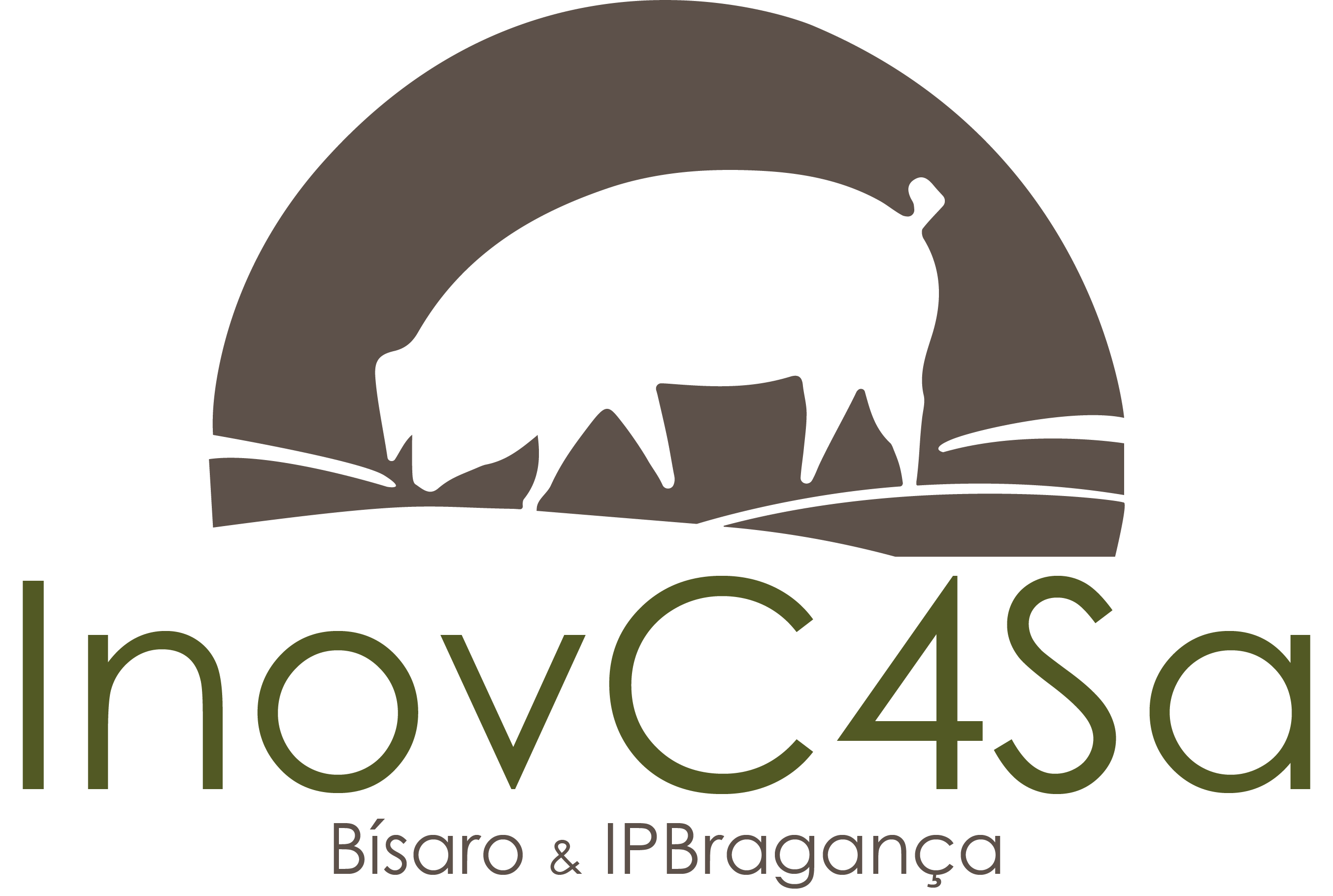 Logótipo InovC4Sa