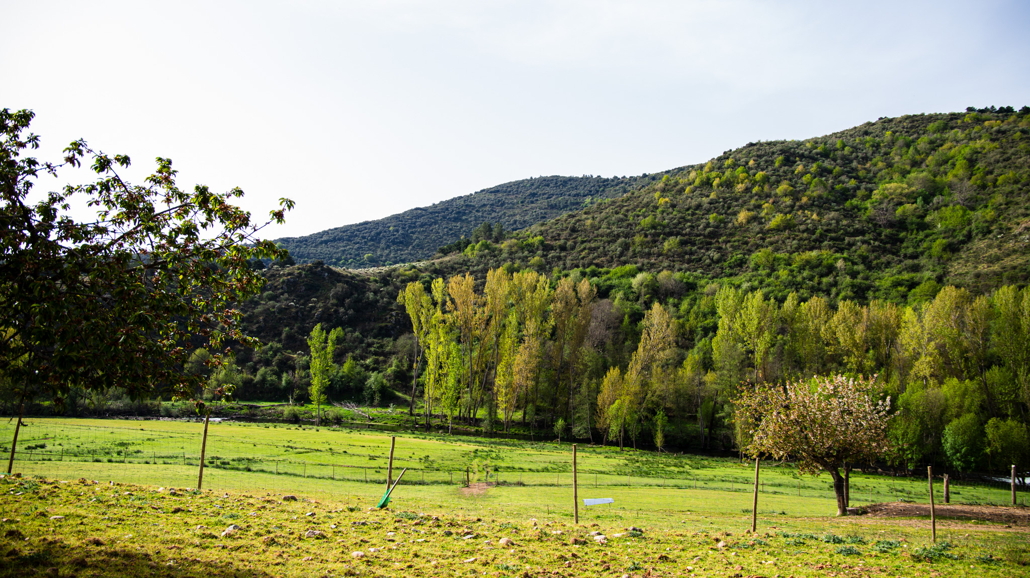 Paisagem rural